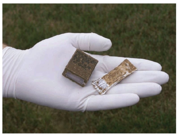 NOTICE: Oral Rabies Vaccination Bait Drop: July 31-September 4, 2026